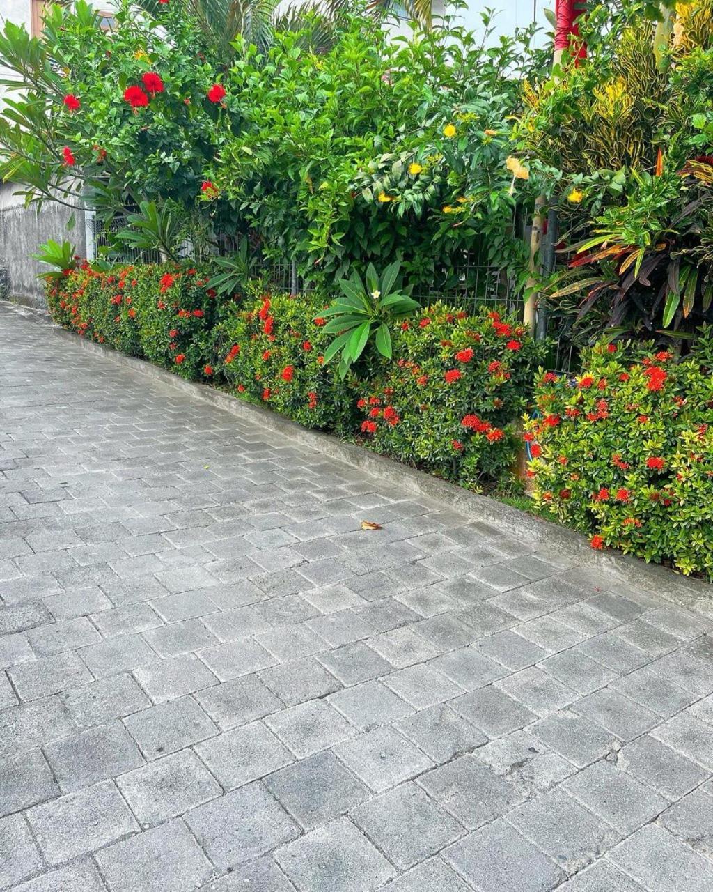 Apartment Pererenan Nengah *