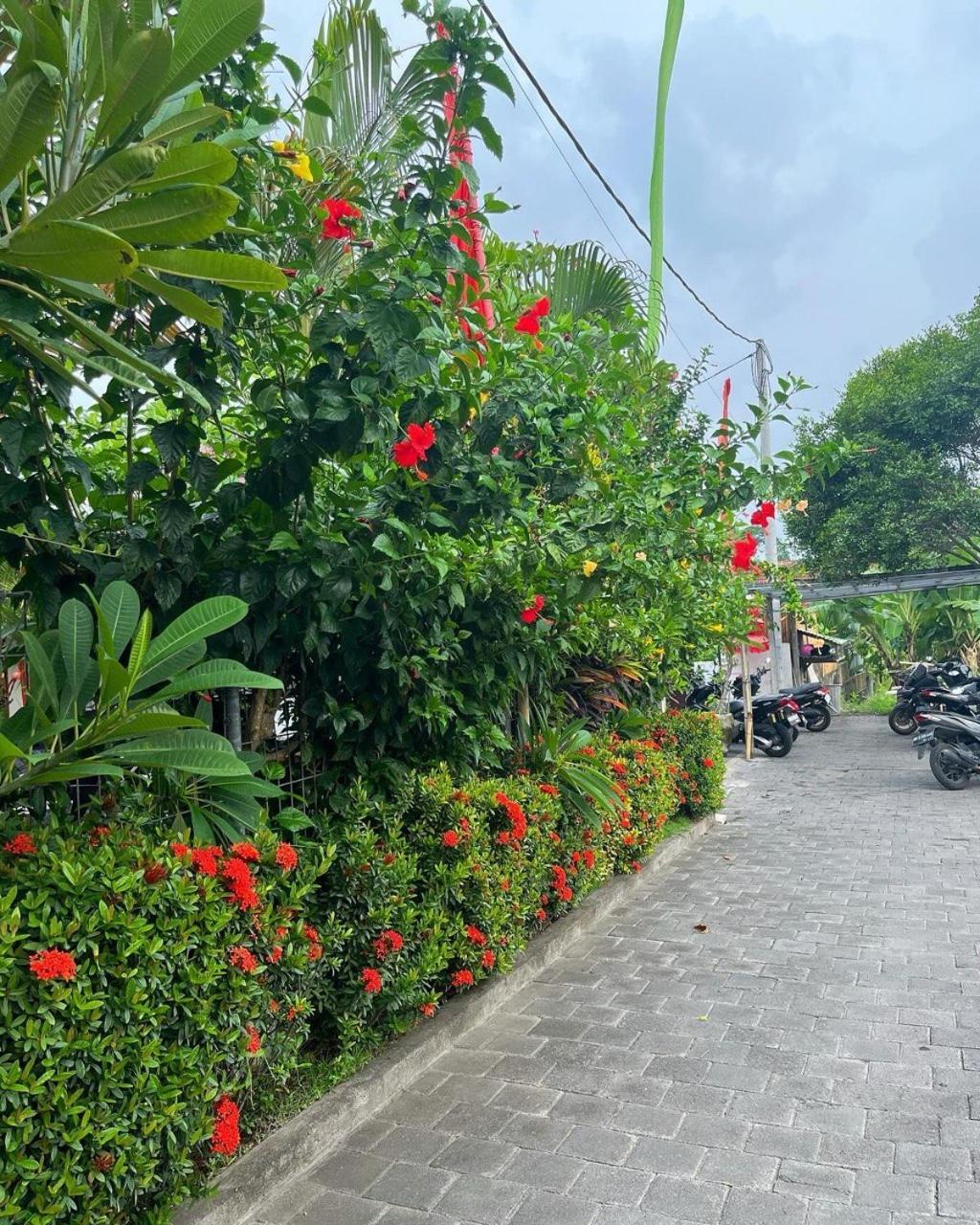Pererenan Nengah Canggu